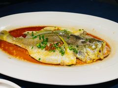 豆豉清蒸大黄鱼-维园悦谱·海派家常菜(乌鲁木齐南路店)