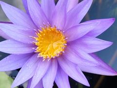 -华南国家植物园-售票处