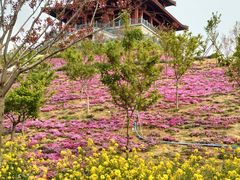 -古柏渡飞黄旅游区
