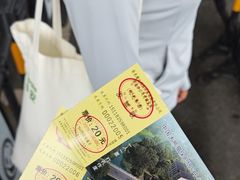 -中国大熊猫保护研究中心雅安碧峰峡基地