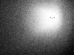 -上海佘山国家森林公园西佘山园