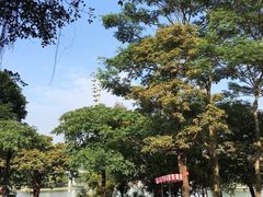 -东莞植物园