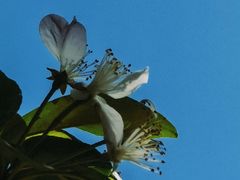 -海棠花溪(元大都城垣遗址公园)