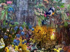 -正佳雨林生态植物园