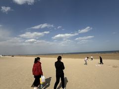 -山东八大碗山东老字号