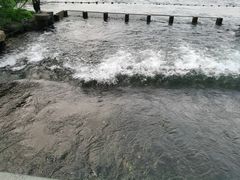 -西湖天地