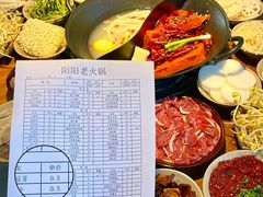 -阳阳老火锅(小南门店)