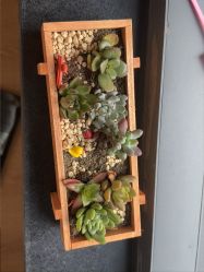 -中法母婴月子中心(南湖创始店)