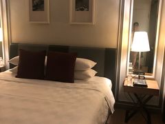 -新加坡乌节希尔顿酒店 (SG Clean)