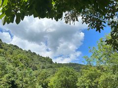 -姚家山旅游风景区