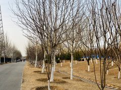 -永定河休闲森林公园