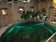 -泉城欧乐堡戏水湾艺术养生温泉