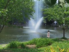 -上海共青森林公园