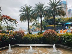 -希尔顿南海酒店·观廊大堂吧·海景下午茶