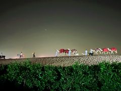 -迪拜沙漠冲沙
