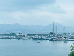 -希尔顿南海酒店·观廊大堂吧·海景下午茶