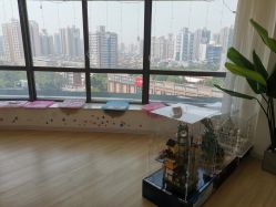 -E.L.K造型momopark店