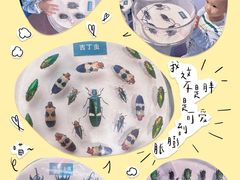 -陕西自然博物馆