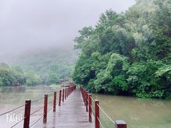 -祁门牯牛降观音堂风景区