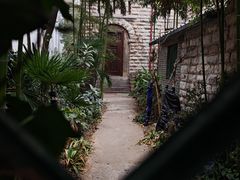 -山东大学(趵突泉校区)