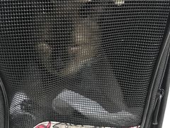 -宠颐生中康贝怡动物医院