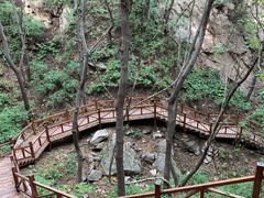 -大岭沟猕猴桃谷风景区