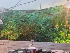 -毛辣果·酸(OHA复兴西路店)