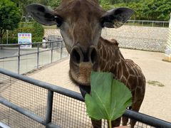 -泉州海丝野生动物世界