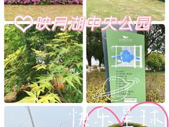 -映月湖中央公园