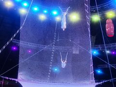 -俄罗斯国家大马戏团