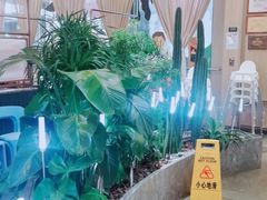 -润园四季椰子鸡火锅(南山海岸城店)