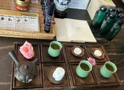 -VELEE·SPA高定疗愈会所