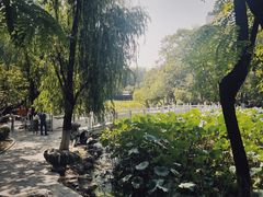 -莲湖公园