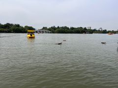 -天津水上公园