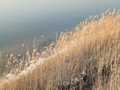 -野鸭湖国家湿地公园