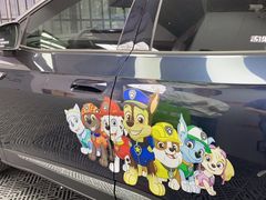 -天猫养车贴膜轻改·蓝电(优匹康桥东路店)