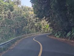 -海南热带雨林国家公园吊罗山景区