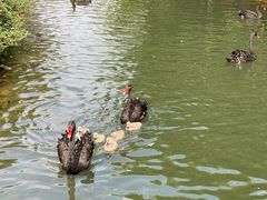 -长白岛森林公园