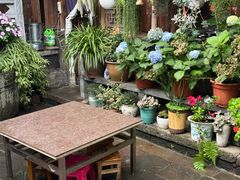 -龙姐私房菜(和顺古镇店)