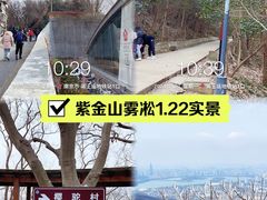 -紫金山山顶公园