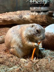 -Zoolung Zoolung动物主题公园(海信广场店)