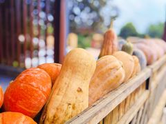 -雅和生态渔庄·宜城锅巴饭(龙灵山公园店)