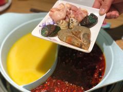 -青瓷火锅料理(西单大悦城店)