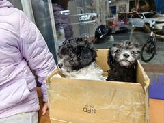 -芭比堂动物医院·CT·微创中心(新顺分院)