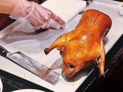 -阿庄新豫菜(航海东路店)