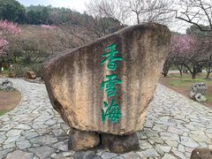 -香雪海