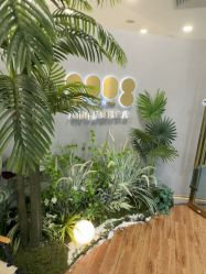 -八佰伴8008星级形象店