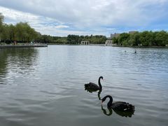 -长春世界雕塑园冰雪艺术天地