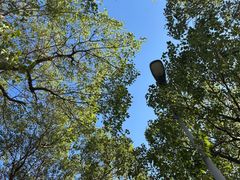 -前小桔亲子创意农场·草莓采摘·露营烧烤