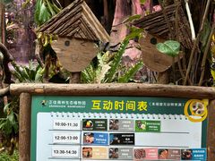 -正佳雨林生态植物园